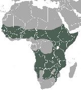 Hiena manchada - Crocuta crocuta. Distribución