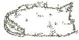 Muralla de Baeza. Según Jimena Jurado, siglo XVII