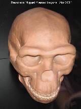 Homo erectus. Zhoukoudian - Pekin