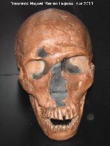 Homo neanderthalensis. Dordoa - Francia