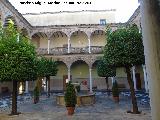 Palacio de Jabalquinto. Patio