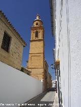 Iglesia de San Carlos El Real. Torre