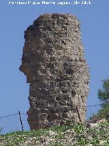Castillo de Osuna. Torren