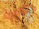 Pinturas rupestres de la Pea del Gorrin VII