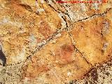 Pinturas rupestres de la Pea del Gorrin VII. Los tres zooformos