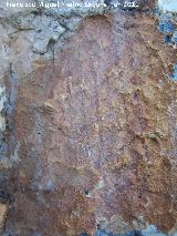 Pinturas rupestres de la Pea del Gorrin III. Figura reticulada