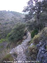 Camino de Herradura de La Nava. 