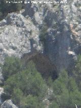 Cueva Palomera. 