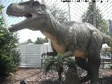 Alosaurio - Allosaurus fragilis. Valencia