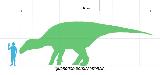 Iguanodón - Iguanodon bernissartensis. Comparación con el hombre. Wikipedia