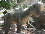 Paquicefalosaurio - Pachycephalosaurus wyomingensis. Valencia