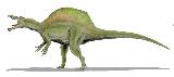 Espinosaurio - Spinosaurus aegyptiacus. 