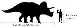 Triceratops - Triceratops horridus. Comparacin con el hombre. Wikipedia