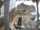 Tiranosaurio - Tyrannosaurus rex. Valencia