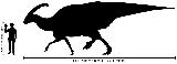 Parasaurolofo - Parasaurolophus walkeri. Comparación con el hombre. Wikipedia