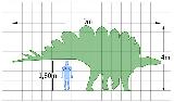 Estegosaurio - Stegosaurus armatus. Comparación con el hombre. Wikipedia