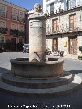 Fuente de la Plaza. 
