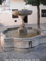 Fuente Baja de San Bartolom. 