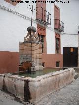 Pilar de la Laguna. 