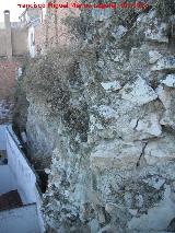 Muralla de Jan. Lienzo del Torren Oculto al Torren continuacin de la Puerta de Martos. En primer trmino el Torren continuacin de la Puerta de Martos