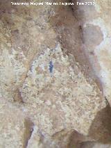 Pinturas rupestres de la Cueva del Contadero. De color negro