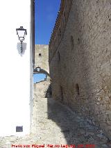Alczar de los Condes de Castellar. Al fondo el arco del Antiguo Ayuntamiento