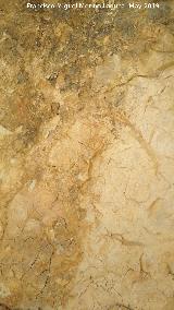 Pinturas rupestres de la Cueva Oeste del Canjorro. Uno de los paneles