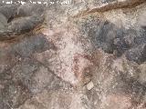Pinturas rupestres de la Cueva Oeste del Canjorro. 