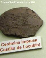 Historia de Castillo de Locubn. Cermica impresa. Museo Provincial de Jan