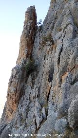 Cerro Cuevas del Aire. Aguja de las paredes rocosas que dan a Bedmar
