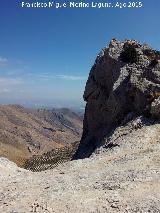 Cerro Alto de la Serrezuela. Cerca de su cumbre