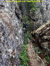 Cueva del Plato. Cornisa escalonada del camino prehistrico a la cueva