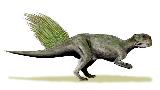 Psitacosaurio - Psittacosaurus mongoliensis. 