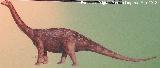 Klamelisaurio - Klamelisaurus gobiensis. 
