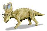 Chasmosaurio - Chasmosaurus belli. 