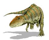 Carcharodontosaurio - Carcharodontosaurus saharicus. 
