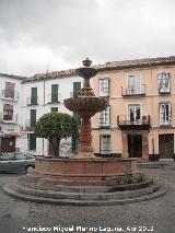 Fuente de la Plaza San Sebastin. 