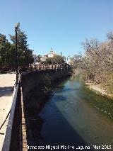 Río Guadalquivir. A su paso por Villanueva de la Reina