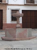 Fuente de San Miguel. 