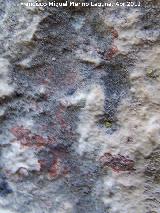 Pinturas rupestres del Abrigo de la Peña Grajera Grupo III. Restos de pinturas rupestres tapados por una capa de calcita