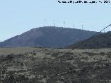 Cerro de Hoyo de los Cigarrones. 