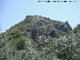Cerro Castelln. 