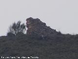 Torren del Cerro Algarrobo. 
