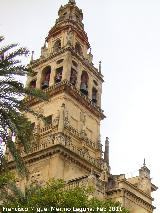 Mezquita Catedral. Torre Campanario. 