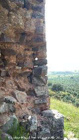 Castillo Torre de Zarracotn. SOS Patrimonio