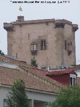 Torre de Garci Mndez. 