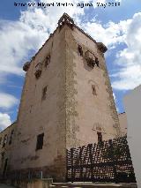 Torre de Garci Mndez. 