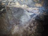 Cueva de la Encantada. Murcilagos en la cueva