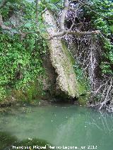 Cascada de la Corregidora. 