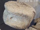 Baelo Claudia. Fbricas de Salazn. Vrtebra de rocual utilizada como mesa de despiece. poca romano-republicana siglos II-I a.C. Museo de Baelo Claudia